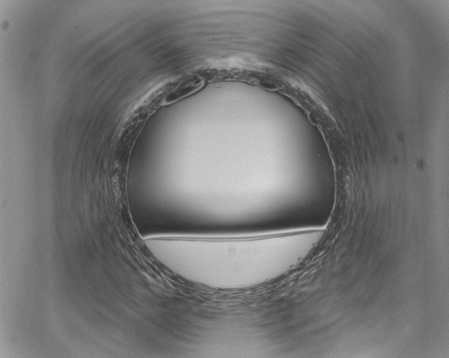 X0000065260968200602170951