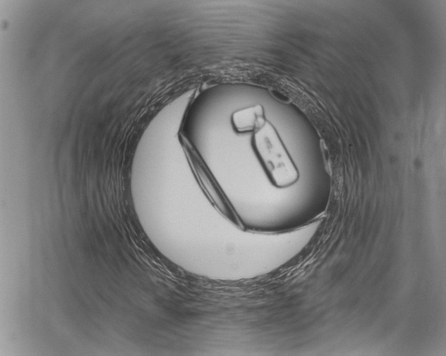 X0000065261010200602170949