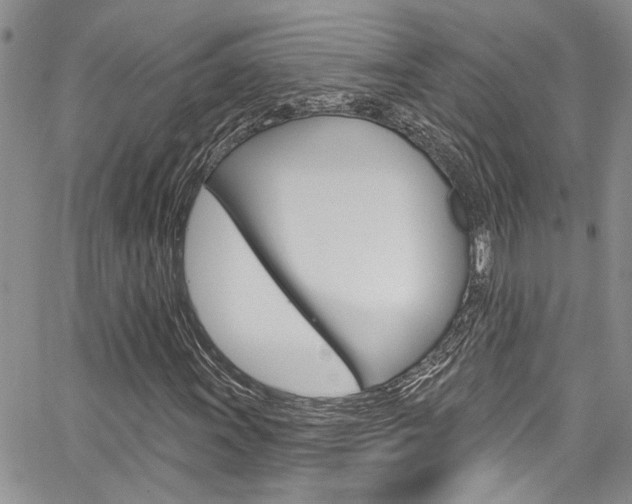 X0000065261011200602170949