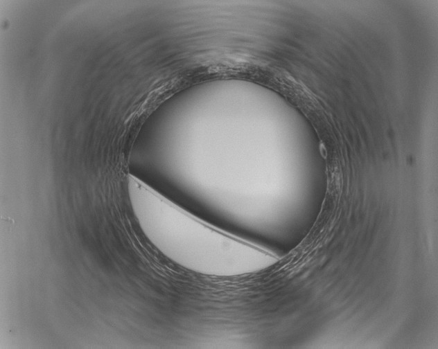 X0000065261012200602170949