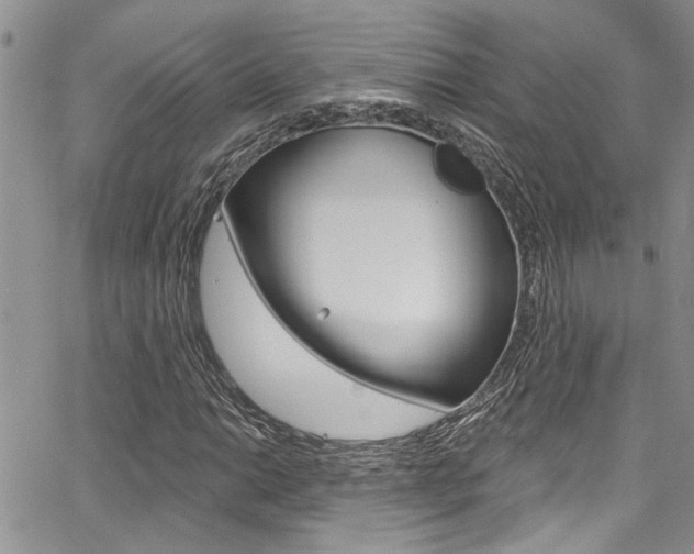 X0000065261014200602170950