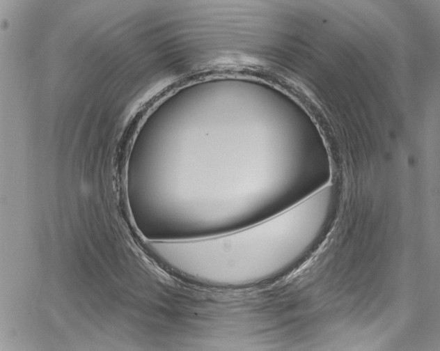 X0000065261018200602170950