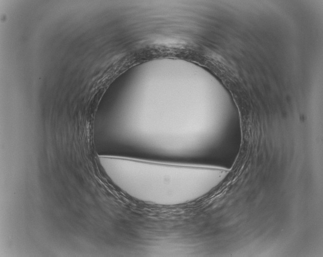 X0000065261061200602170949