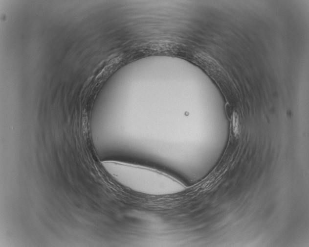 X0000065261107200602170948