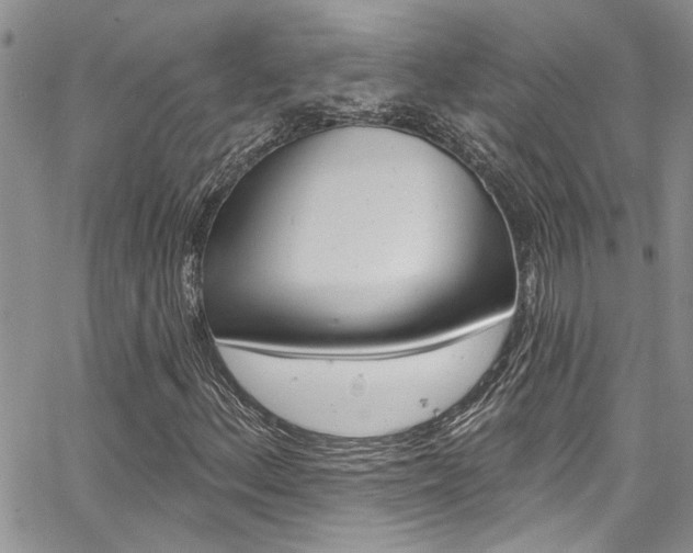 X0000065261156200602170948