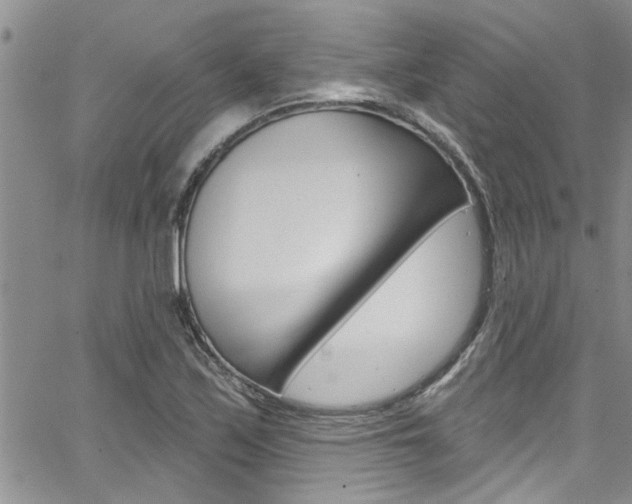 X0000065261171200602170948