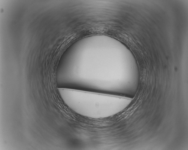 X0000065261201200602170946
