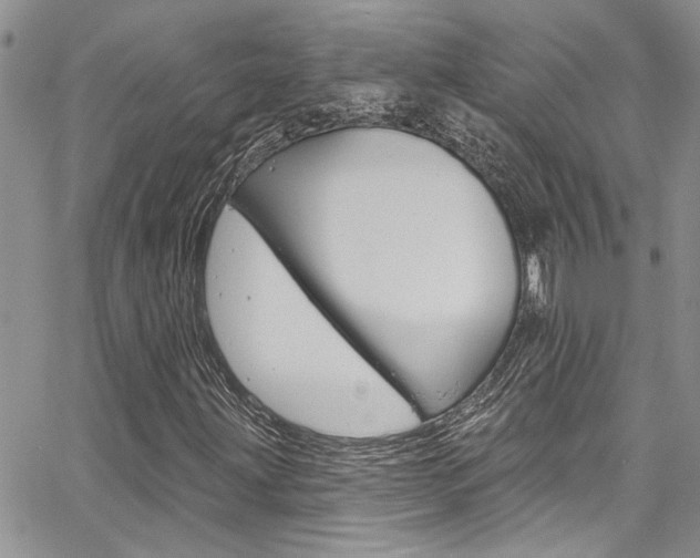 X0000065261203200602170946