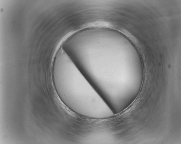 X0000065261248200602170947