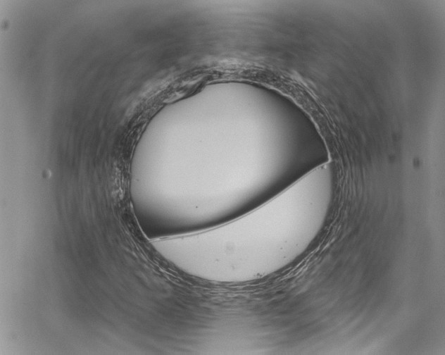 X0000065261253200602170946