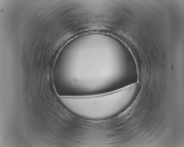 X0000065261257200602170946