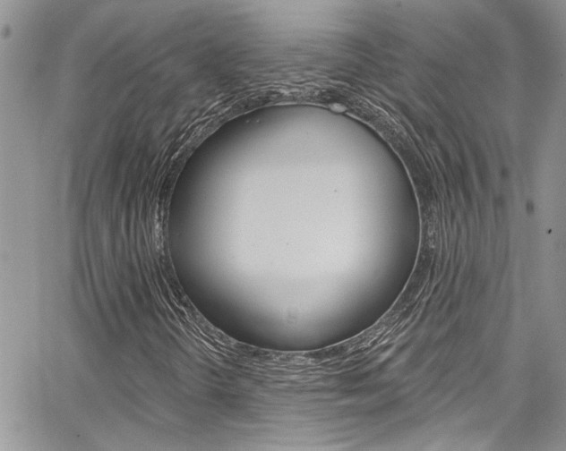 X0000065261298200602170945
