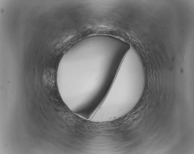 X0000065261301200602170945