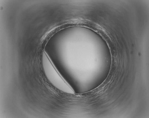 X0000065261304200602170945