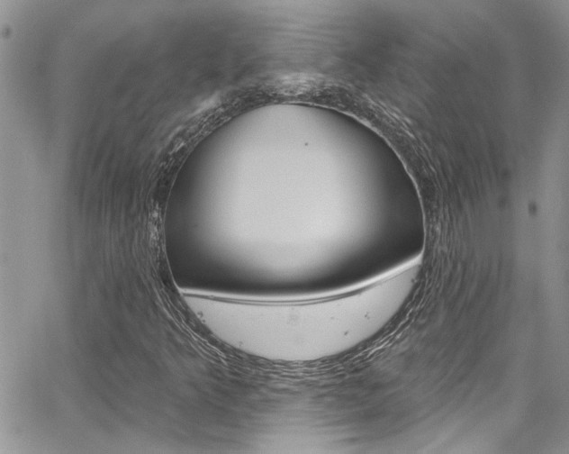 X0000065261349200602170945