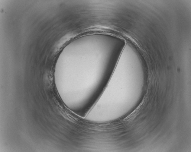 X0000065261355200602170945
