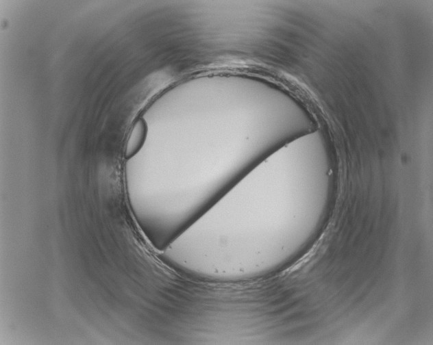 X0000065261409200602170943