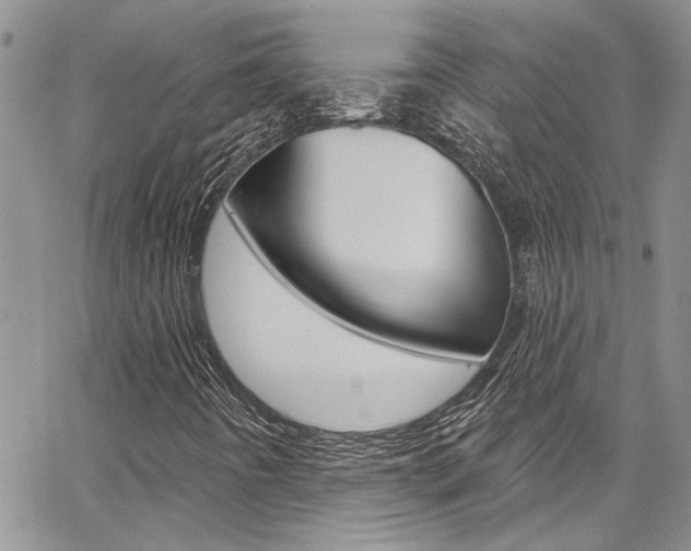 X0000065261442200602170943