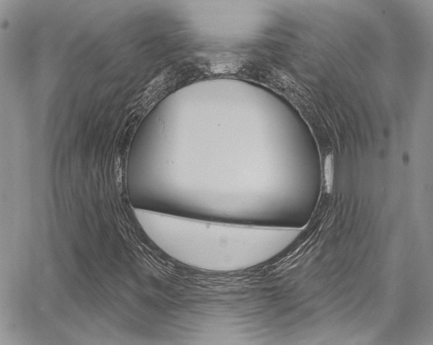 X0000065261443200602170943