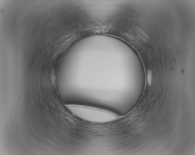 X0000065261444200602170943