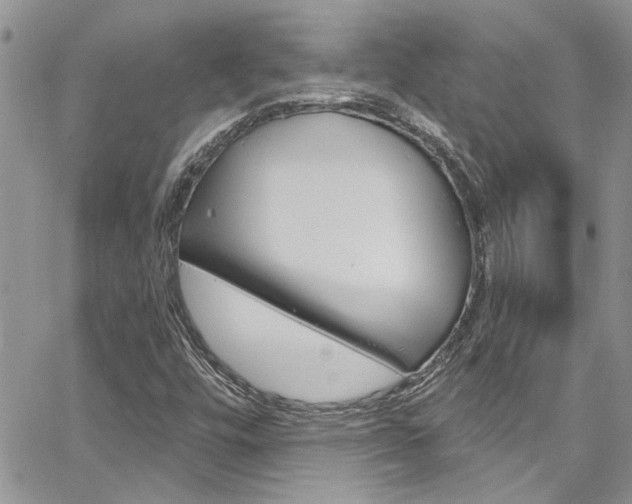 X0000065261448200602170943