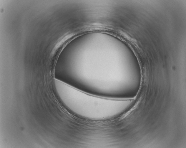 X0000065261453200602170943