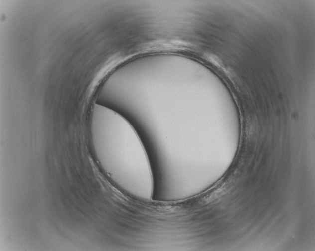 X0000065261459200602170943