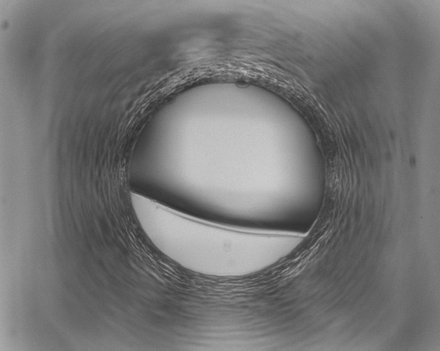 X0000065261490200602170942
