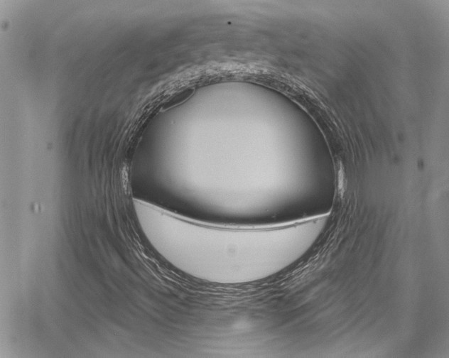 X0000065261492200602170942