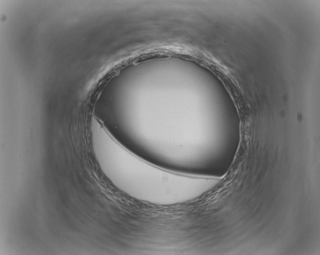 X0000065261496200602170942