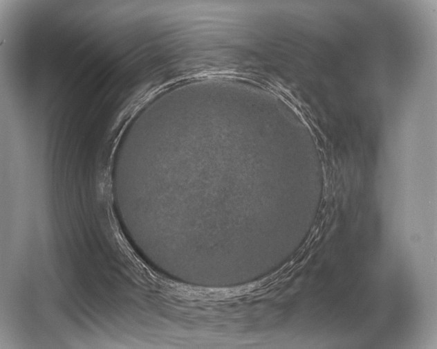 X0000065260002200602171507