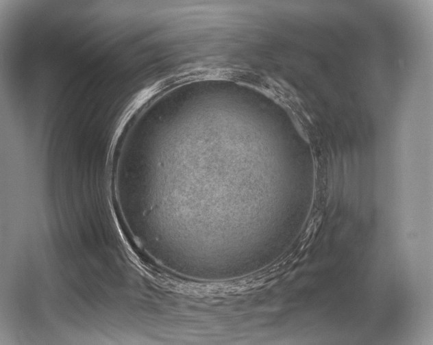 X0000065260003200602171507