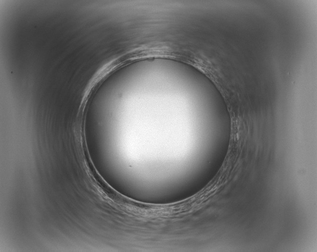 X0000065260004200602171507