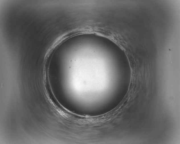 X0000065260005200602171507