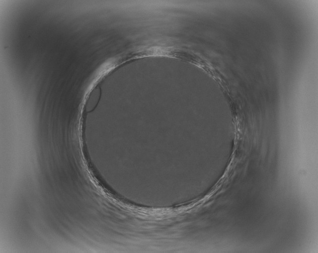 X0000065260006200602171507