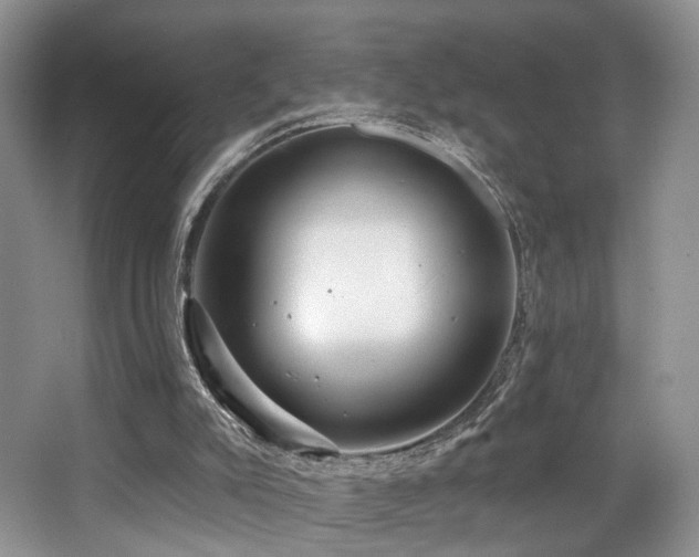 X0000065260007200602171507