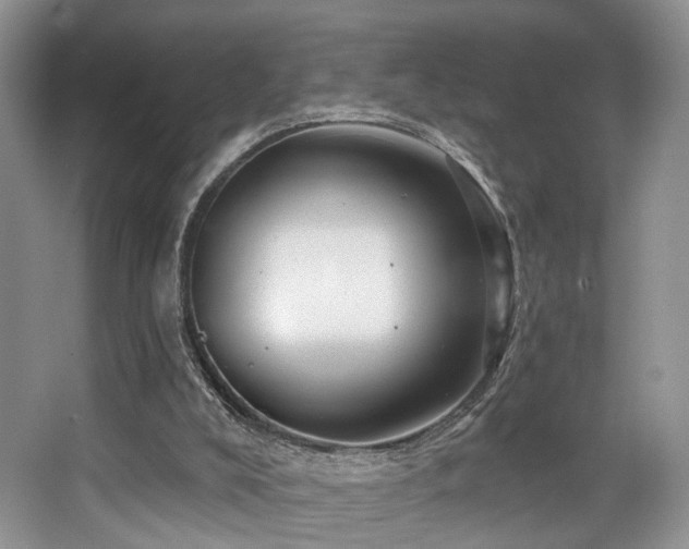 X0000065260008200602171507