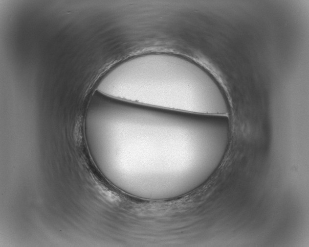 X0000065260009200602171507