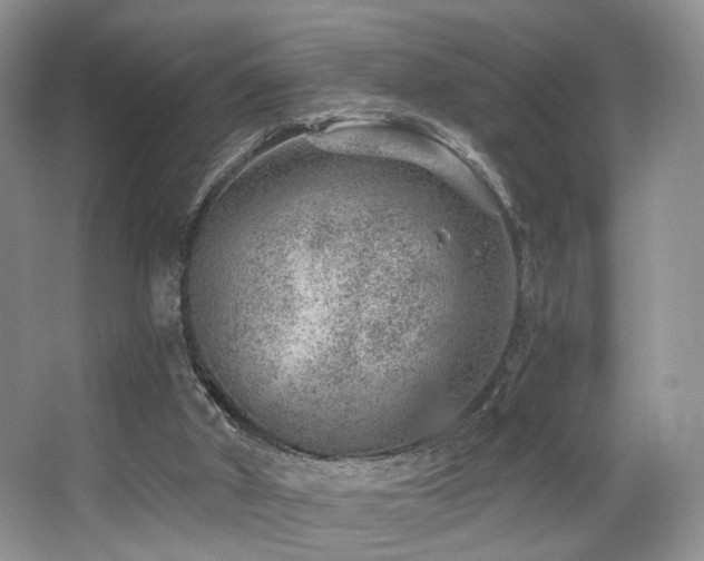 X0000065260010200602171507