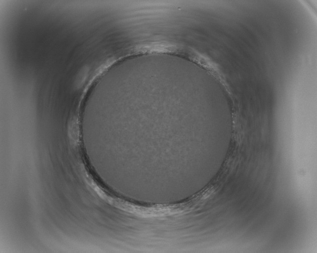 X0000065260012200602171507