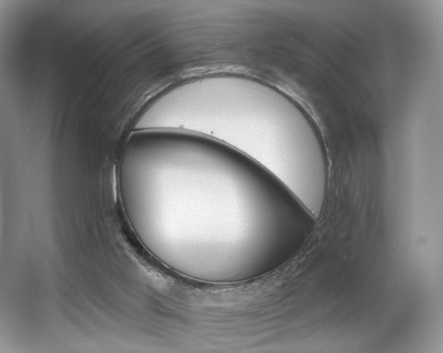 X0000065260013200602171507