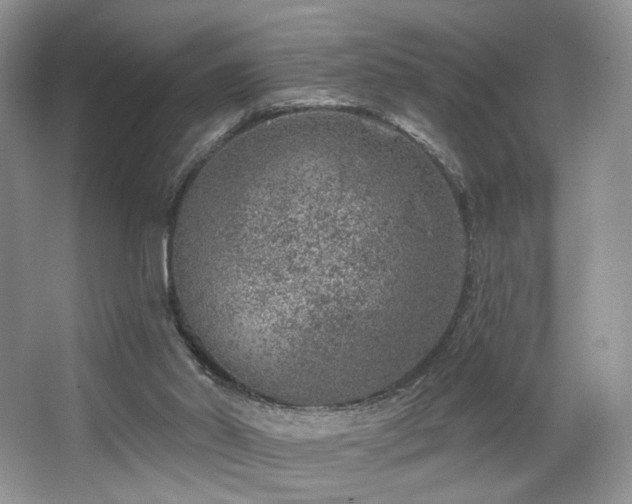 X0000065260014200602171507