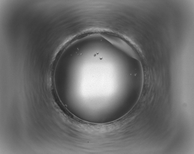 X0000065260015200602171507