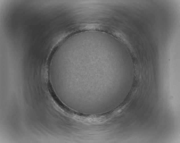 X0000065260016200602171507