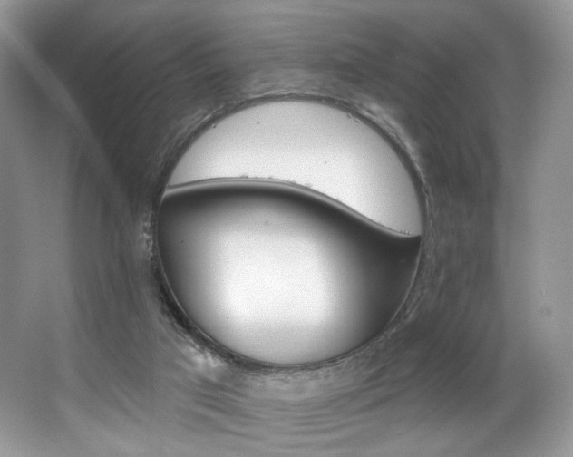 X0000065260017200602171507