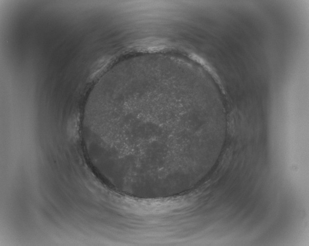 X0000065260018200602171507