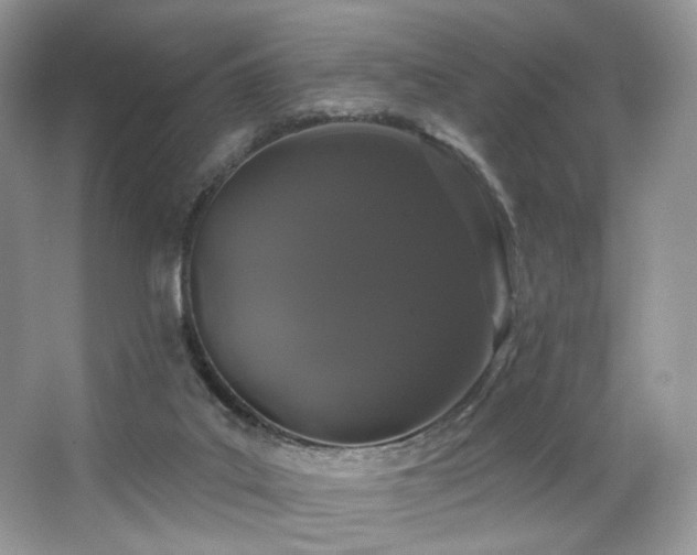 X0000065260019200602171507