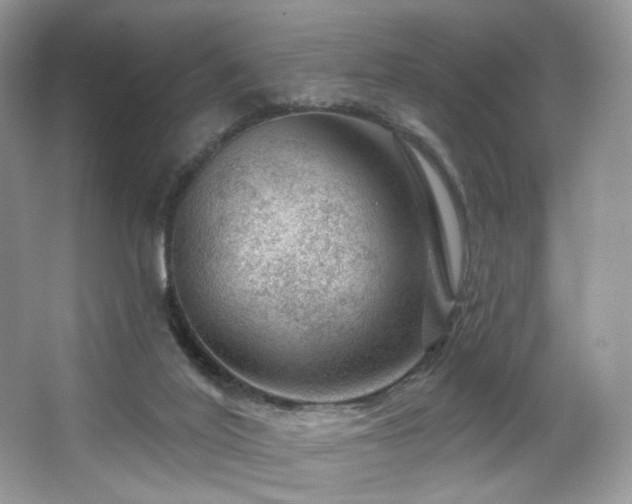 X0000065260020200602171507