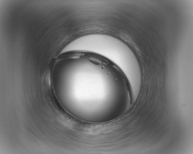 X0000065260021200602171507