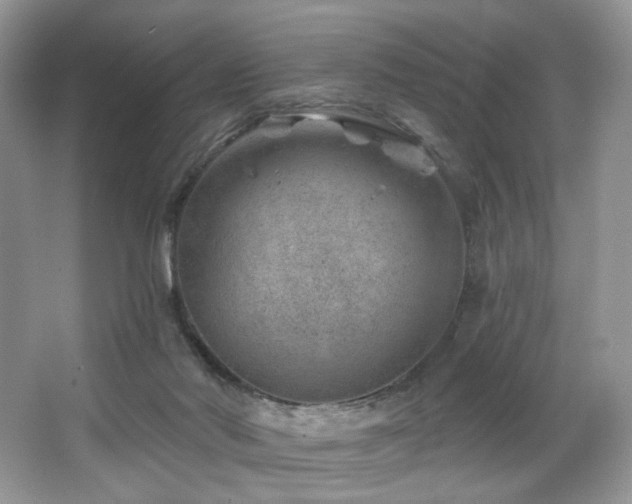 X0000065260022200602171507